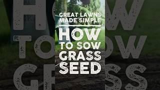 How to Sow Grass Seed