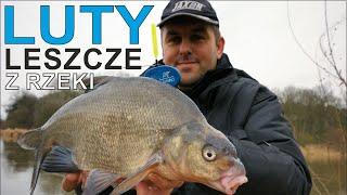 February and river bream
