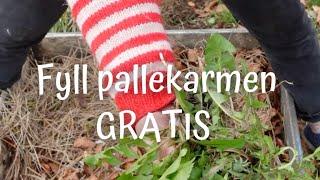 Fyll opp pallekarmen gratis