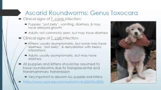 MBC Online Vet Tech Review 3.2 - Parasitology I