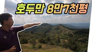 온 산을 통째로 호두로 덮어버린 남자(The man who covered the mountain with walnut trees)