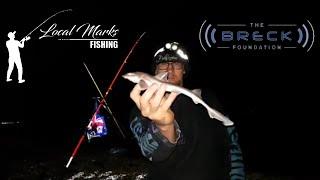 Sea Fishing TALK SHOW!! PB Tiddler!