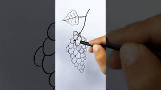 How to Draw Grapes with Pencil