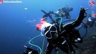 Diving bareng Hiu itu seru loh - Dive spot Batu Bolong with LOB Samboja