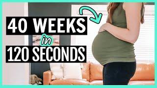 PREGNANT BELLY WEEK-BY-WEEK TRANSFORMATION  40 Weeks in 120 Seconds Pregnancy Progression