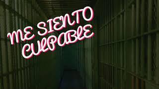 El Auto Perdón ¿Qué Culpa? - Por P. Ferrini - Perlas de Sabiduría