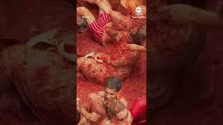 Revelers throw tomatoes in Spain's La Tomatina festival