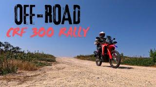 OFF-ROAD in the SAND | Honda CRF 300 Rally