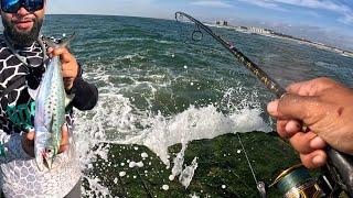 Spanish Mackerel Jetty Fishing (Catch & Cook) Corpus Christi TX