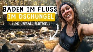 Tag 3 im ECHTEN Dschungel: BLUTEGEL überall und NASS von Kopf bis Fuß ! Borneo-Abenteuer