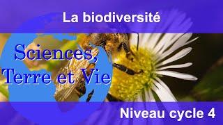 La biodiversité