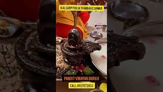 Rudra Abhishek Pooja Trimbakeshwar | Kalsarp Pooja Trimbakeshwar Call: +91 9921572833