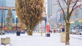  CANADA Travel - NORTH YORK Toronto Canada Winter Snowfall and City Vibes 4K