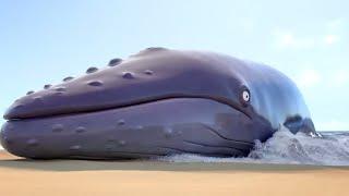 The Day The Whale Lost His Way!| Gruffalo World: Snail & The Whale