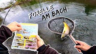 Ich fange einen Traumfisch  | Bachforellen Angeln am Bach