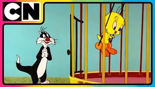 Looney Tunes| Non-stop Fun | The Wacky World of Looney Tunes!  | 90s Cartoons | 90s | @cnindia