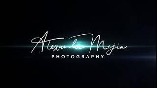 alexander mejia logo