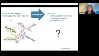 The Role of Mixtures for Effect-based Trigger Values in Water Quality Assessment (14 Nov 2023)