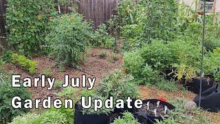 Early July Garden Update - Everything is Growing Well