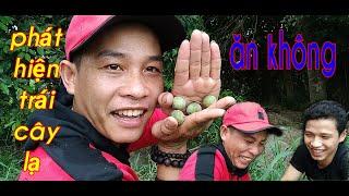 Vào rừng phát hiện trái cây lạ "BÉ ĐÈO VLOG"into the forest discovered strange fruit