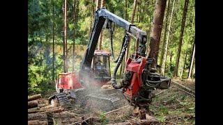 4K|*SNAKE* Komatsu 911.4 X3M • rare machine • Komatsu Logging • Forestmachine • Sound pur • Forest