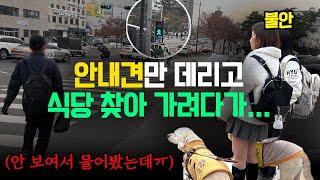 한양대에서 안내견과 식당 한번 가려는데 예상치 못한 일들이 연속으로 일어났습니다