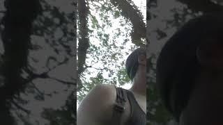 Black man gets beat down by tallahassee police