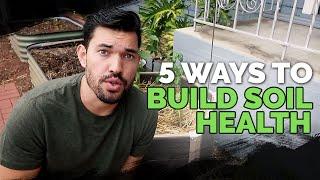 5 Easy Ways To Build Soil Health For FREE  