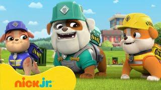 Rubble & Crew | Rubbles süßeste Familienmomente | 30 Minuten | Nick Jr. Deutschland