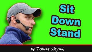 Sit Down Stand Harness