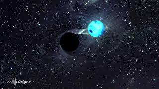 Neutron star-black hole merger