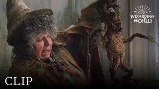 Mandrake Potting | Harry Potter and the Chamber of Secrets