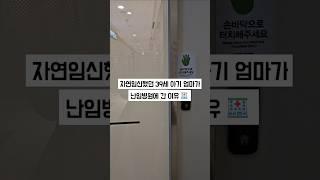 자연임신 39세 아기 엄마 난임병원 간 이유 시험관 신선1차 시술