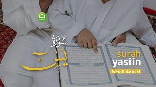 Bacaan Surah Yasin yang Menyejukkan Hati I Ismail Ali Nuri إسماعيل النوري | Tadabbur Daily