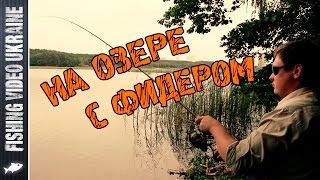 Хотели поймать карася, а поймали ... ! | Фидер на озере | 1080p | FishingVideoUkraine