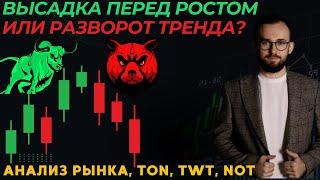  РЫНОК УПАЛ НА -30%! Высадка или тренд закончен? ️ Обзор рынка и альты #ton, #twt, #not