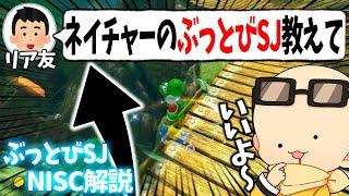 【解説】リア友から『ネイチャーのぶっとぶヤツ教えて』と言われたので解説します(ﾉω`)#2160【マリオカート８デラックス】