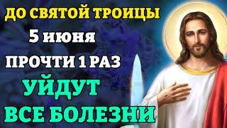 3 июня ДО СВЯТОЙ ТРОИЦЫ ПРОЧТИ 1 РАЗ! УЙДУТ ВСЕ БОЛЕЗНИ! Сильная молитва об исцелении. Православие
