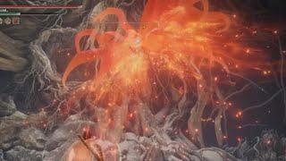 How to dodge Malenia’s Scarlet Aeonia Dive Bomb