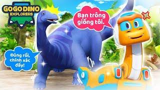 Pockey, Apatosaurus Mạnh Nhất!【GOGODINO KHÁM PHÁ】| Tuyển tập | Khủng long