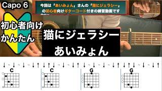 猫にジェラシー/あいみょん/ギター/コード/弾き語り/初心者向け/簡単