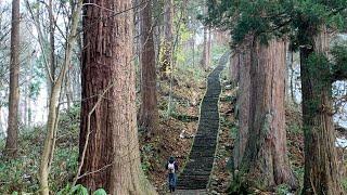 Holy Mountains, Water Gardens, a Shining Tunnel and the House of Light | A Japan Travel Film