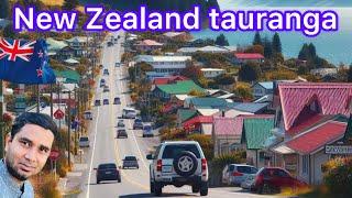 New Zealand | New Zealand road | New Zealand visa | নিউজিল্যান্ড | নিউজিল্যান্ডের শহর