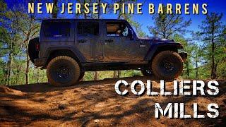 We're in NEW JERSEY? | Colliers Mills Wildlife Management Area | Exploring the Pine Barrens Overland