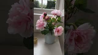 FAUX PEONIES IN CERAMIC VASE PINK