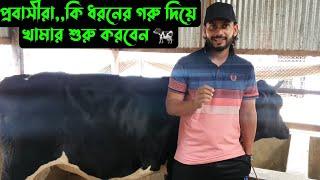 কি ধরনের গরু দিয়ে খামার শুরু করবেন প্রবাসীরা 