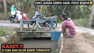 GOKIL.!! MANCING DI SELOKAN PINGGIR JALAN BIKIN GAGAL FOKUS BRO