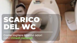 Come togliere i cattivi odori dallo scarico del WC in modo naturale