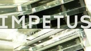 Impetus Underwear Spring Summer 2012.mp4