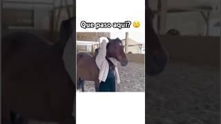 Que alguien me explique #caballos #shorts #youtubeshorts